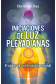 INICIACIONES DE LUZ PLEYADIANAS