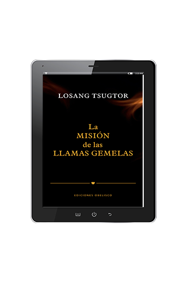 LA MISIÓN DE LAS LLAMAS GEMELAS