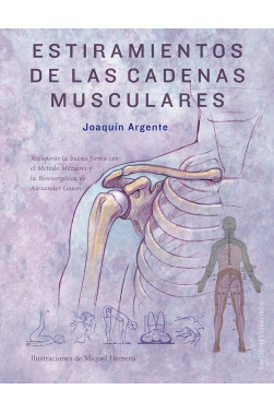 ESTIRAMIENTOS DE LAS CADENAS MUSCULARES