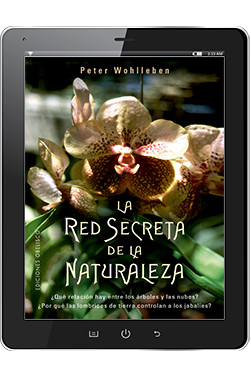 LA RED SECRETA DE LA NATURALEZA (Digital)