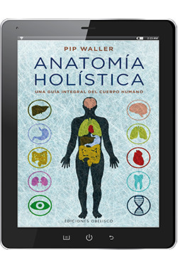 ANATOMÍA HOLÍSTICA (Digital)