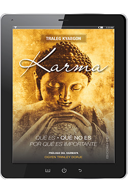 KARMA, QUÉ ES, QUÉ NO ES, POR QUÉ ES IMPORTANTE (Digital)