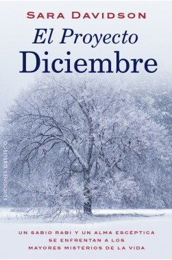 EL PROYECTO DICIEMBRE