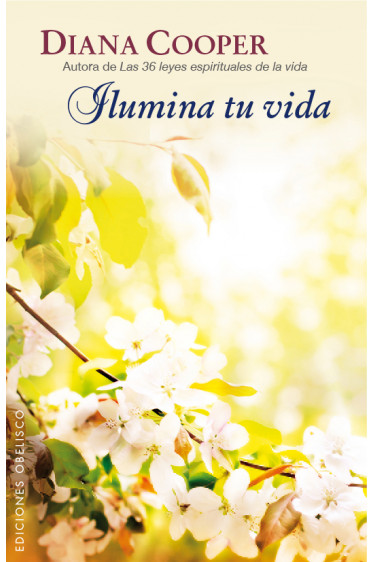 ILUMINA TU VIDA