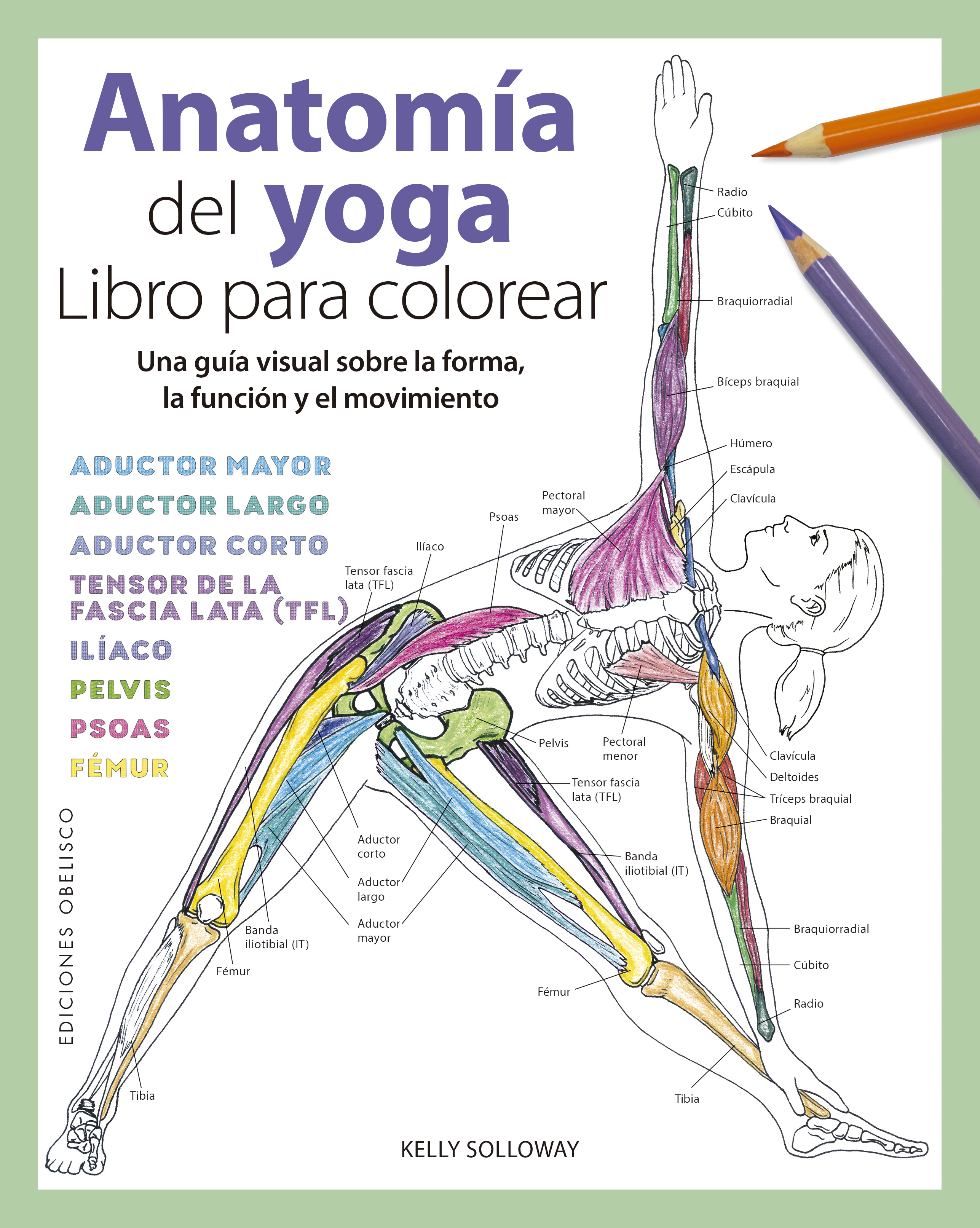 Anatomia del yoga_Libro para colorear.jp