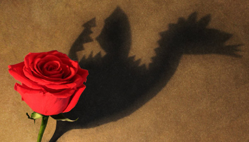 Imágenes del Día de Sant Jordi